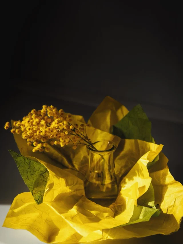 Today we celebrate women — and all the brilliance we bring to the world. 🌼✨ 

Happy International Women’s Day.