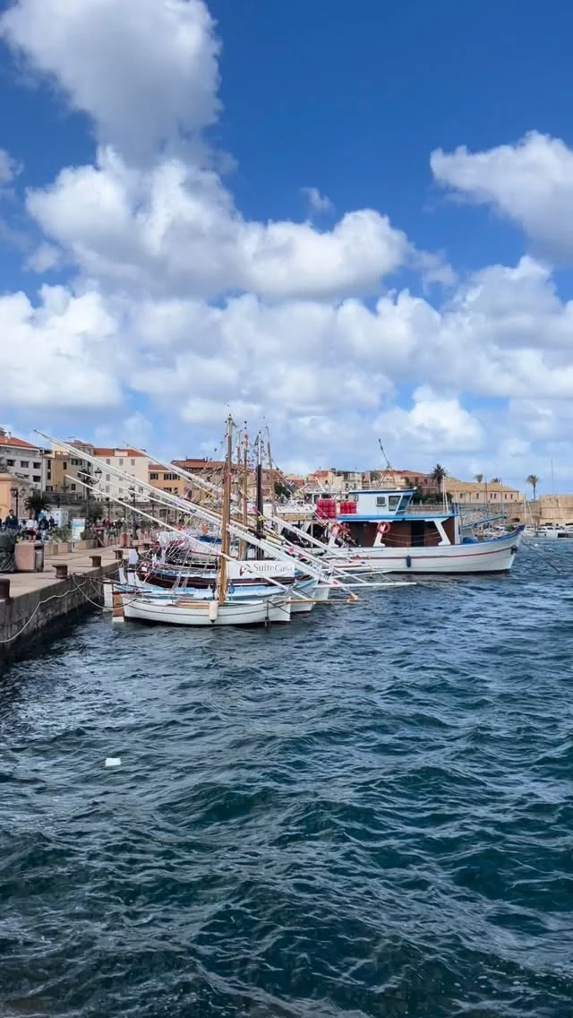 ✨ A beautiful beginning to our Sardinian adventure ✨
 
Yesterday, I had the pleasure of welcoming another wonderful group of travelers — all of whom have traveled with me before — to the incredible island of Sardinia! 🇮🇹🌊 There is something so special about reconnecting with familiar faces and beginning a new journey together in such a magical place.
 
We are based in the charming seaside town of Alghero, and we have an exciting week ahead filled with unforgettable experiences, meeting passionate local producers, discovering authentic Sardinian cuisine, and getting to know this fascinating region more deeply.
 
We began our time together with a lovely guided tour through the enchanting old town of Alghero, wandering its historic cobblestone streets, taking in the beautiful architecture, and soaking up the Mediterranean atmosphere. The evening ended with a delicious dinner together, filled with laughter, stories, and the joy of new memories already being made. 💛
 
Sardinia, we are ready for you. 🇮🇹✨